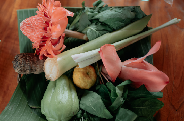 Freshly harvested tropical ingredients, including torch ginger flowers and chayote squash, arranged for a Balinese cooking class in Ubud, Bali.
