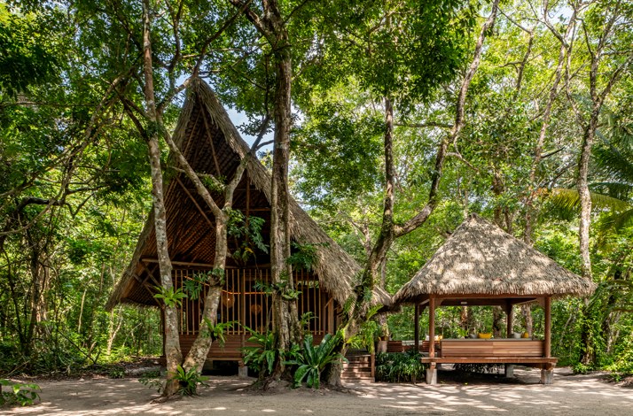 Traditional thatched-roof pavilions at The Datai Langkawi's Nature Centre, hidden within a dense tropical rainforest.