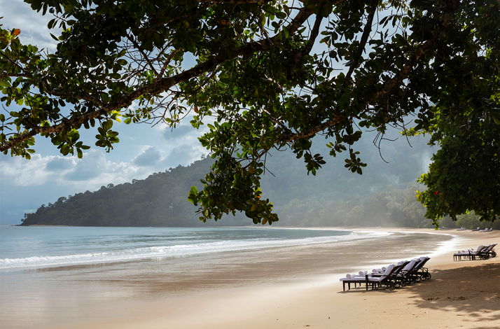 Beach loungers on the pristine white sand of Datai Bay, Langkawi, framed by overhanging tropical trees.