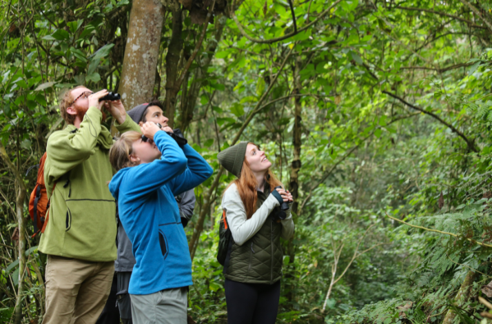 A group of people is birdwatching in dense Andean forest.