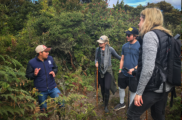 Small group of hikers gathered along a mountain trail as a local guide shares information about the surrounding Andean ecosystem and native vegetation.