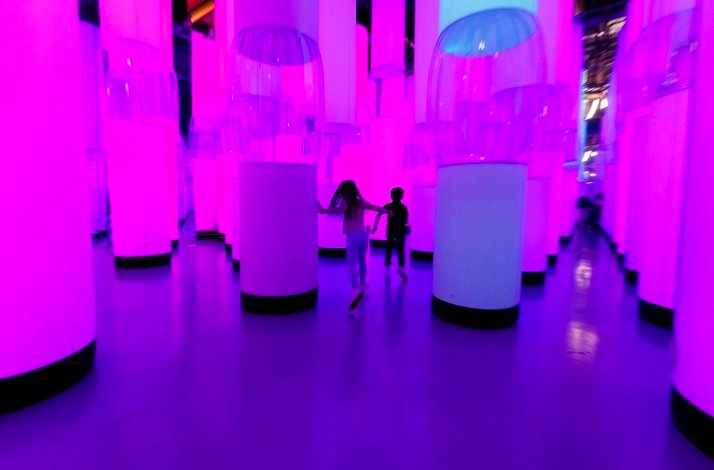 Children walking among illuminated columns at Dream Point immersive experience.