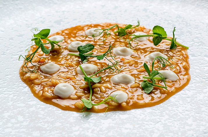 Gourmet risotto with creamy dots and fresh herbs served in restaurant L'Erba del Re.
