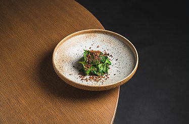 A minimalist gourmet dish with green spinach and crunchy crumbs on a speckled ceramic plate at a Osteria Acquarol restaurant.
