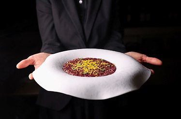A server presenting a finely plated gourmet dish from the tasting menu at La Sosta del Cavaliere restaurant.
