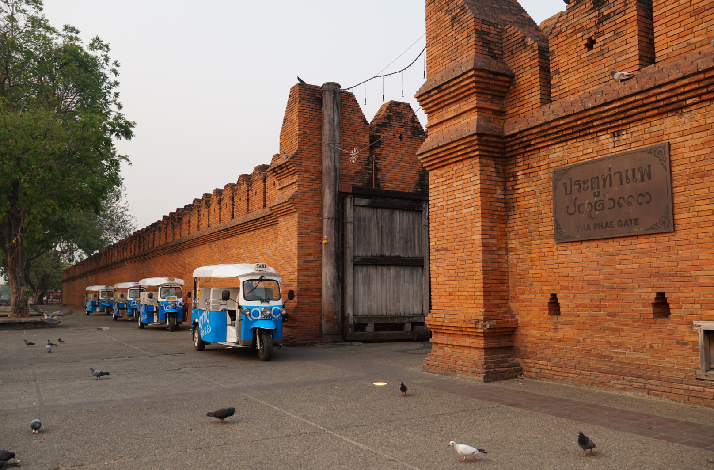 Tuk-tuks lined up by Tha Phae Gate, historic brick wall, pigeons on pavement.