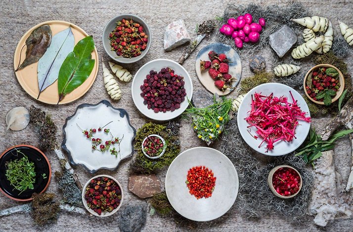 Overhead spread of native Andean ingredients at Afluente in Bogota, Colombia, including wild berries, edible flowers, herbs and foraged tubers arranged on ceramic dishes and stone