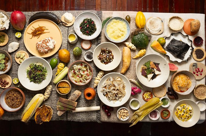 Afluente - Overhead spread of Colombian páramo ingredients and dishes