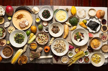 Afluente - Overhead spread of Colombian páramo ingredients and dishes