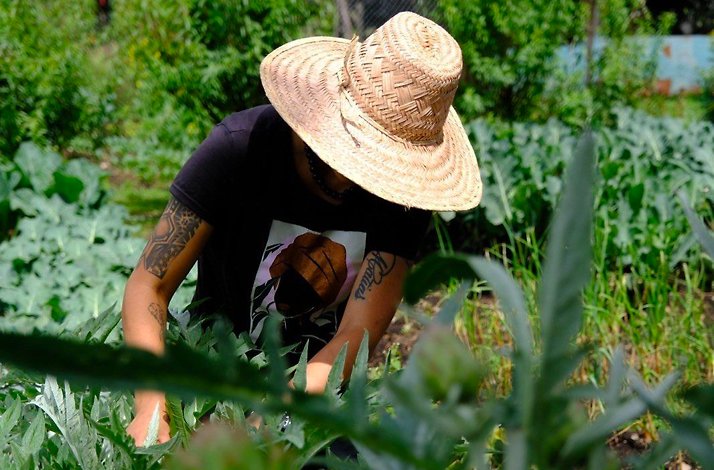 Oda restaurante in Bogota — staff tending the urban garden (huerta) that supplies the kitchen