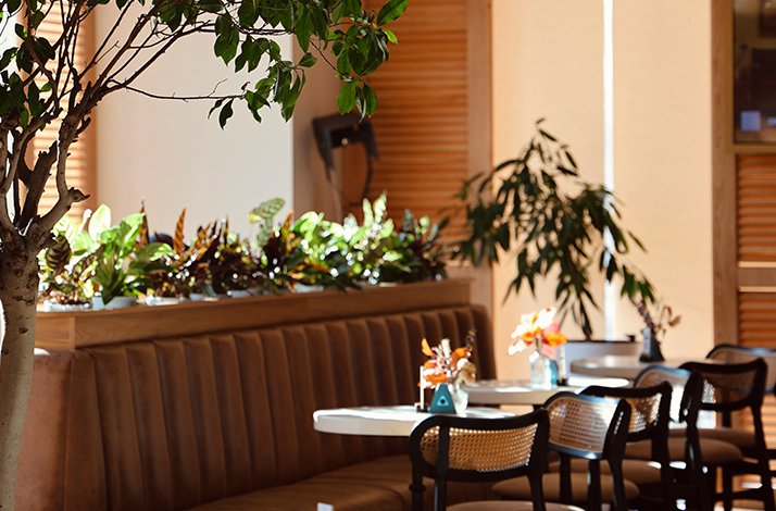 Sunlit dining area at Teplo Cafe, Tashkent, featuring tufted leather banquette seating, indoor plants, and set tables.