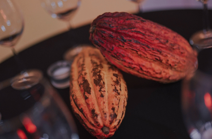Display of the Colombian cacao bean.
