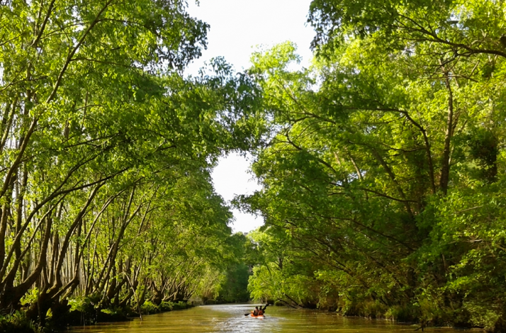 Kayakers paddling along a tranquil, tree-lined waterway in the lush Tigre River Delta.