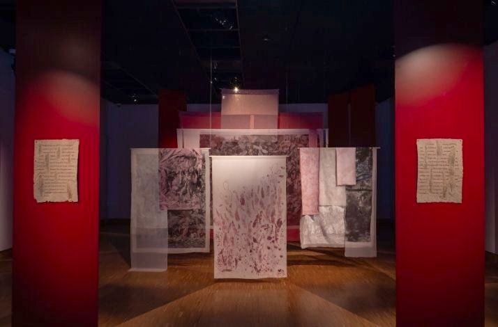 An installation of hanging transparent fabrics with abstract red and purple patterns. Two red columns flank the display in a dimly lit museum.