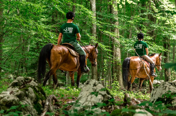 Guided horseback ride through Plitvice forest.