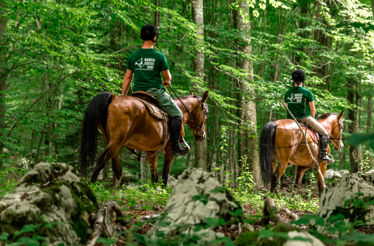 Guided horseback ride through Plitvice forest.
