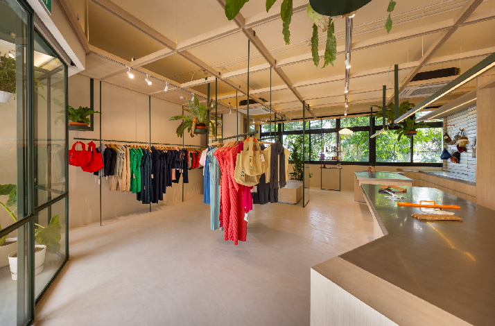 Bright, modern boutique interior with clothing racks, hanging plants, and large windows.