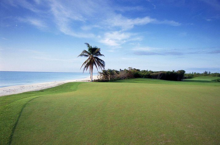 Ground-level view of El Camaleón Golf Club's 15th fairway at Mayakoba, a lone coconut palm framing the calm Caribbean Sea beyond.