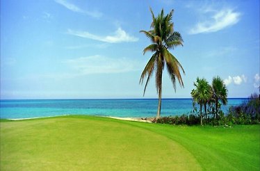 15th hole fairway at El Camaleón Golf Club at Mayakoba, bordered by Caribbean waters and a tall palm tree.