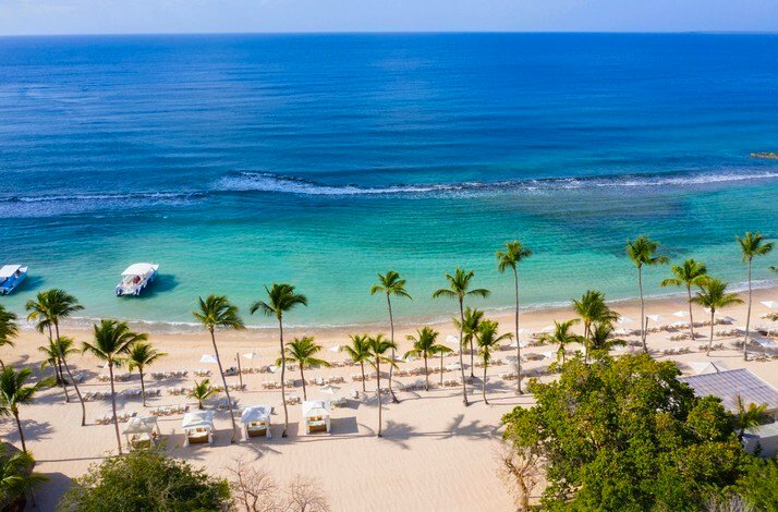 Aerial view of Casa de Campo beach with tall palm trees.