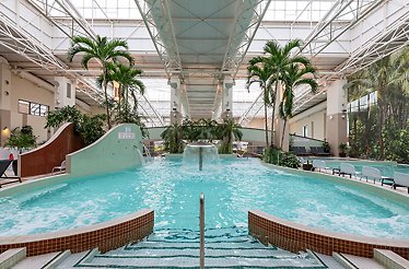 Indoor thermal pool at Felixarium Aquapark, featuring water jets, tall palm trees, and a glass roof atrium.