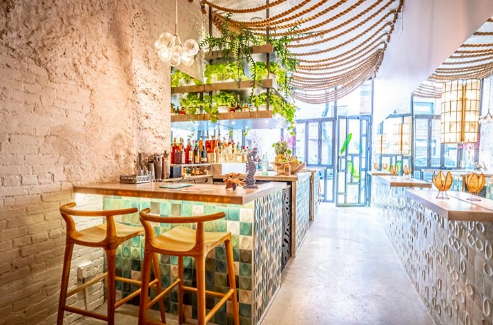 Bright, airy restaurant bar with patterned tile counters, hanging plants, warm pendant lights, and sunlight streaming in from the front windows, at Ma.dé.