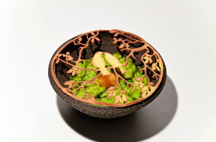 Plated fine-dining dish in a dark bowl with vibrant green elements and delicate garnish.