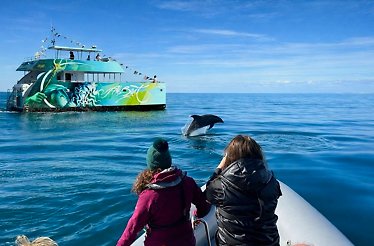 Discover Benagil Caves and Dolphins