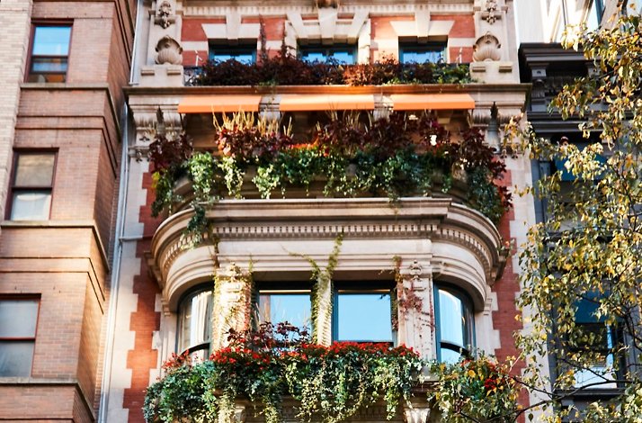 Cascading foliage and flowering planters decorating the ornate stone facade of Casa Cruz New York on the Upper East Side.