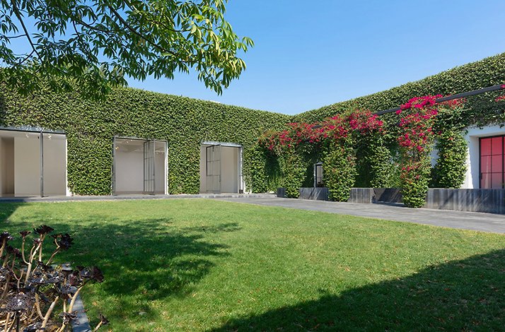 Pace Gallery Los Angeles courtyard featuring ivy-covered walls, open gallery spaces, and blooming bougainvillea.
