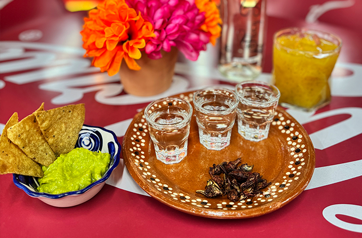 Traditional Mexican spirits served alongside regional snacks, including guacamole, tortilla chips, and edible insects, as part of a cultural tasting experience.