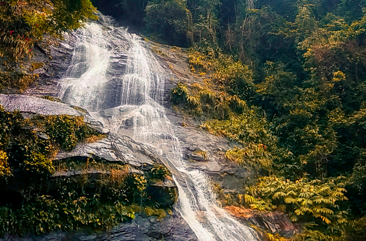Water cascading down a rocky waterfall surrounded by dense tropical rainforest, lush vegetation, and natural stone formations.