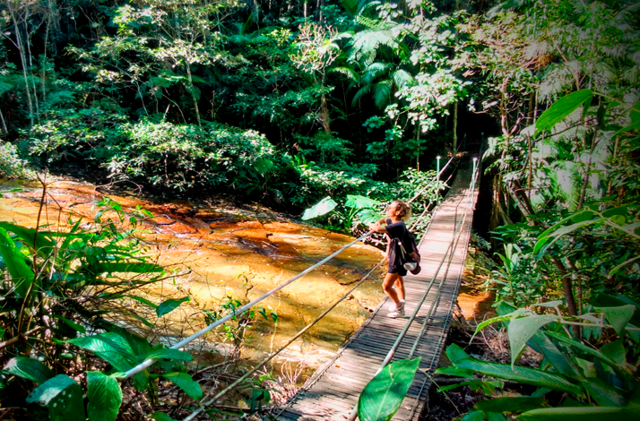 Traveler crosses a narrow suspension bridge over a shallow stream in the heart of a lush tropical rainforest near Rio de Janeiro.