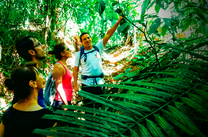 Hikers beside a jungle stream and moss-covered boulders in Rio de Janeiro.