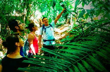 Hikers beside a jungle stream and moss-covered boulders in Rio de Janeiro.