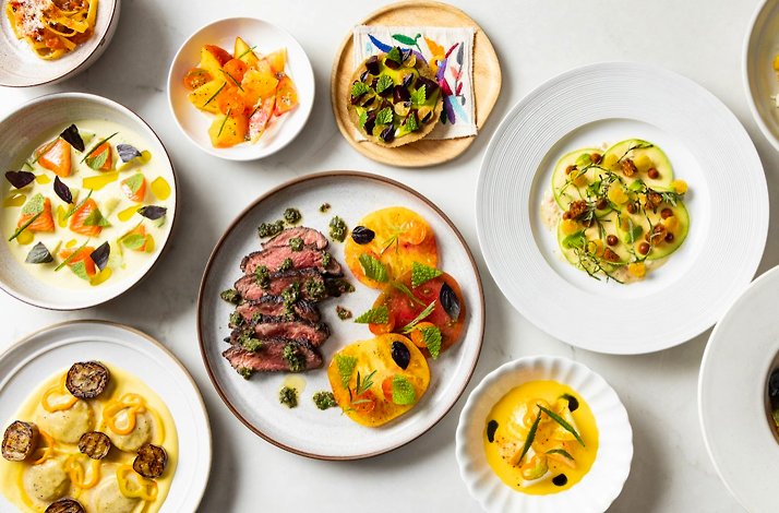 An array of fine dining dishes featuring colorful salads, soups, carpaccio, seared steak with tomatoes, and ravioli.
