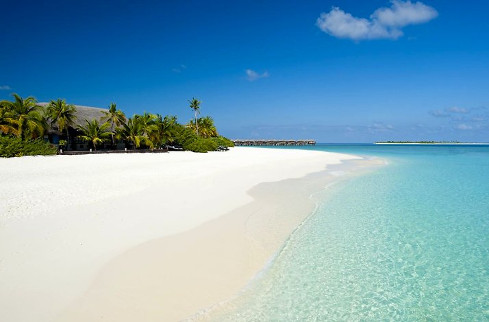 TEST PT 17 B2B2C Product: In Los Angeles, California (6)