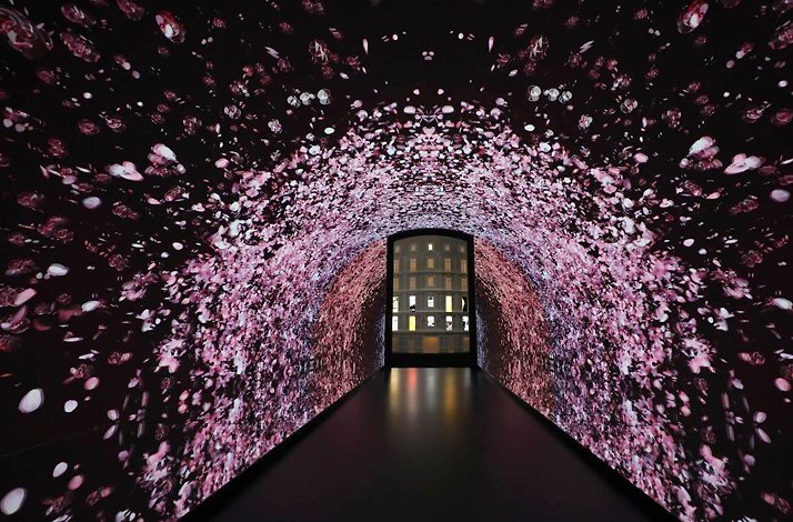 TEST PT 17 B2B2C Product: In Los Angeles, California (5)