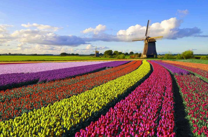 TEST PT 17 B2B2C Product: In Los Angeles, California (8)