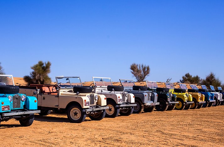 1950s Land Rovers in various colors lined up at the starting point at the Dubai Desert Conservation Reserve.