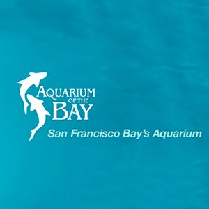 Aquarium of the Bay